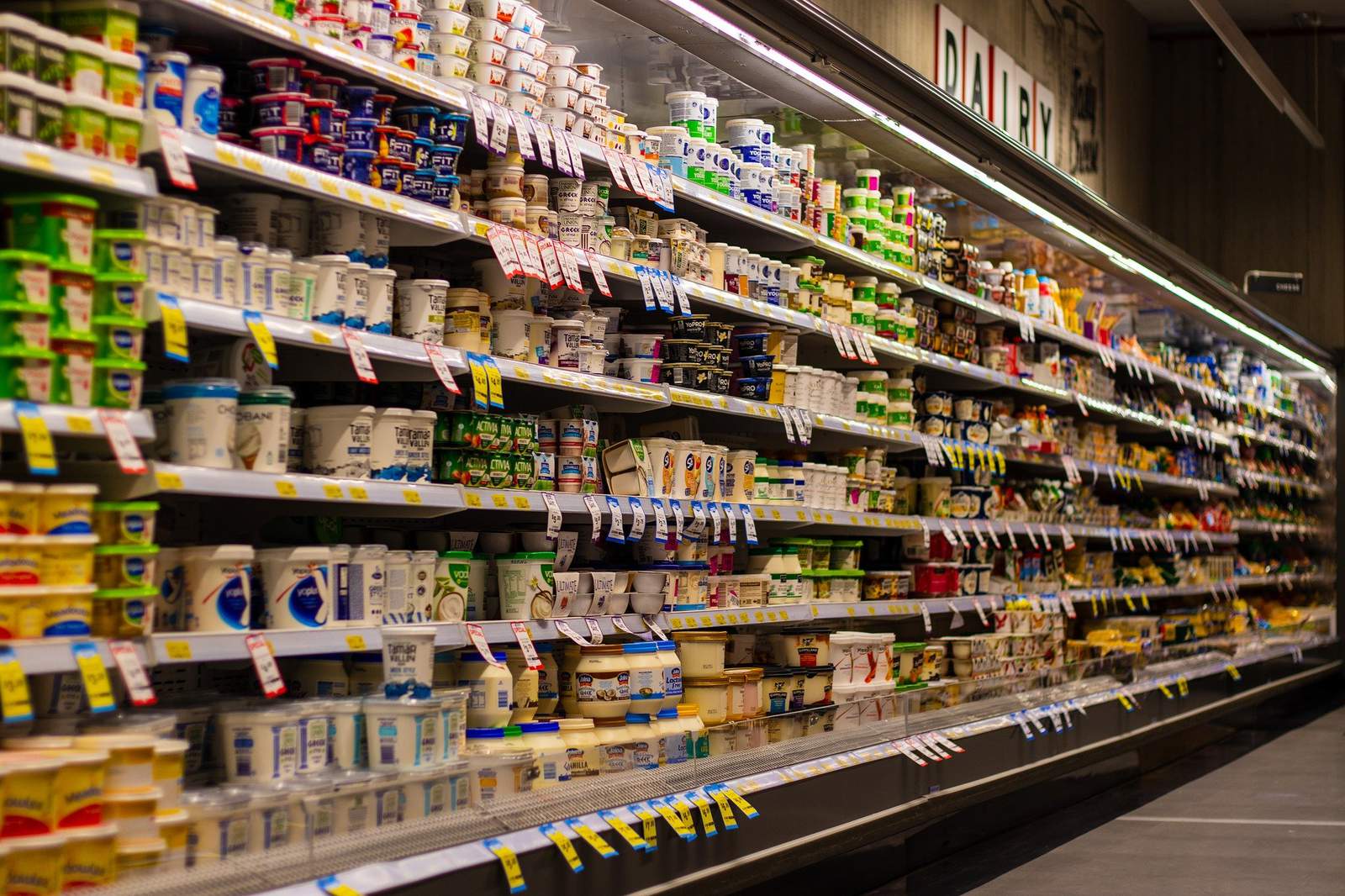 Grocery  &  Daily Needs